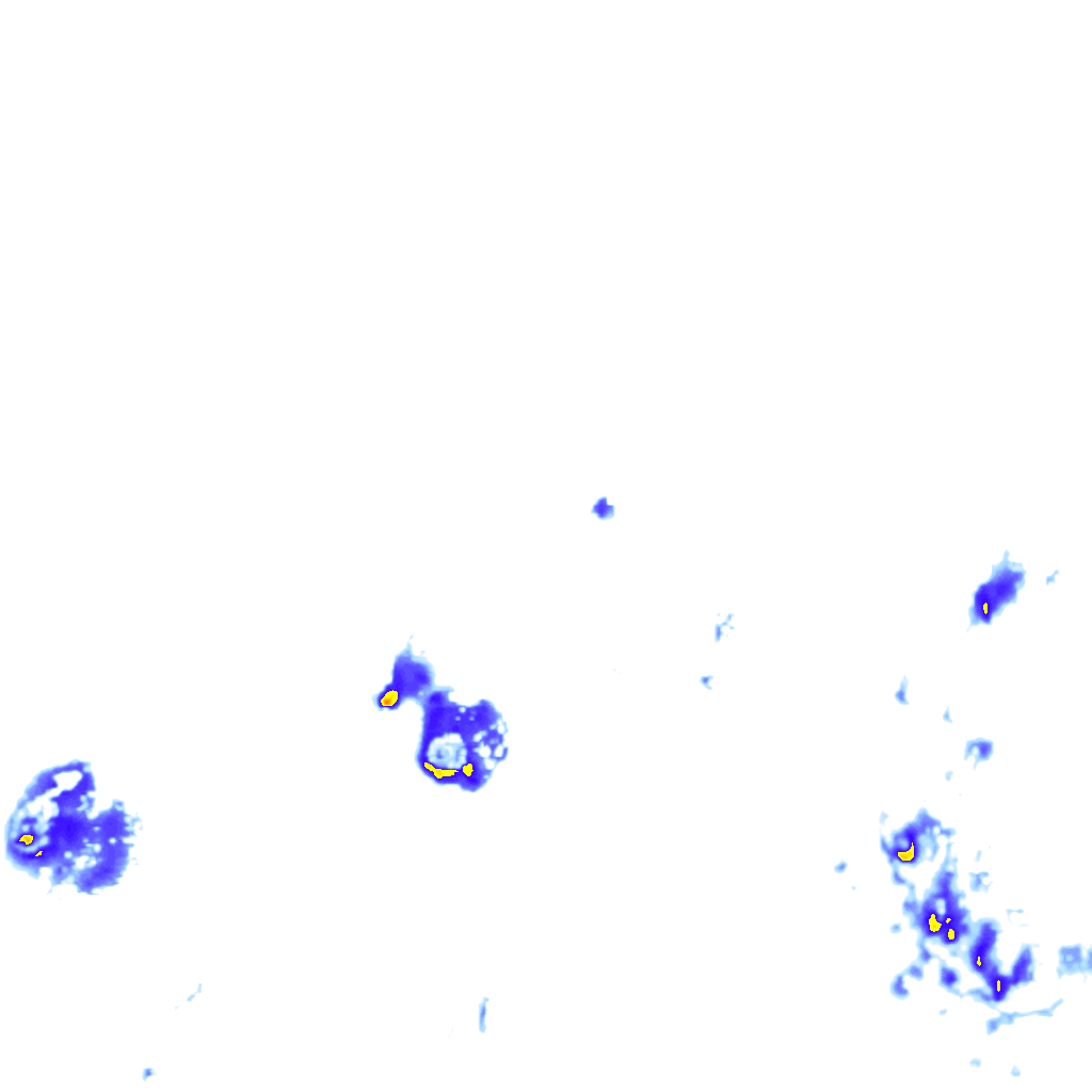 rainLayer