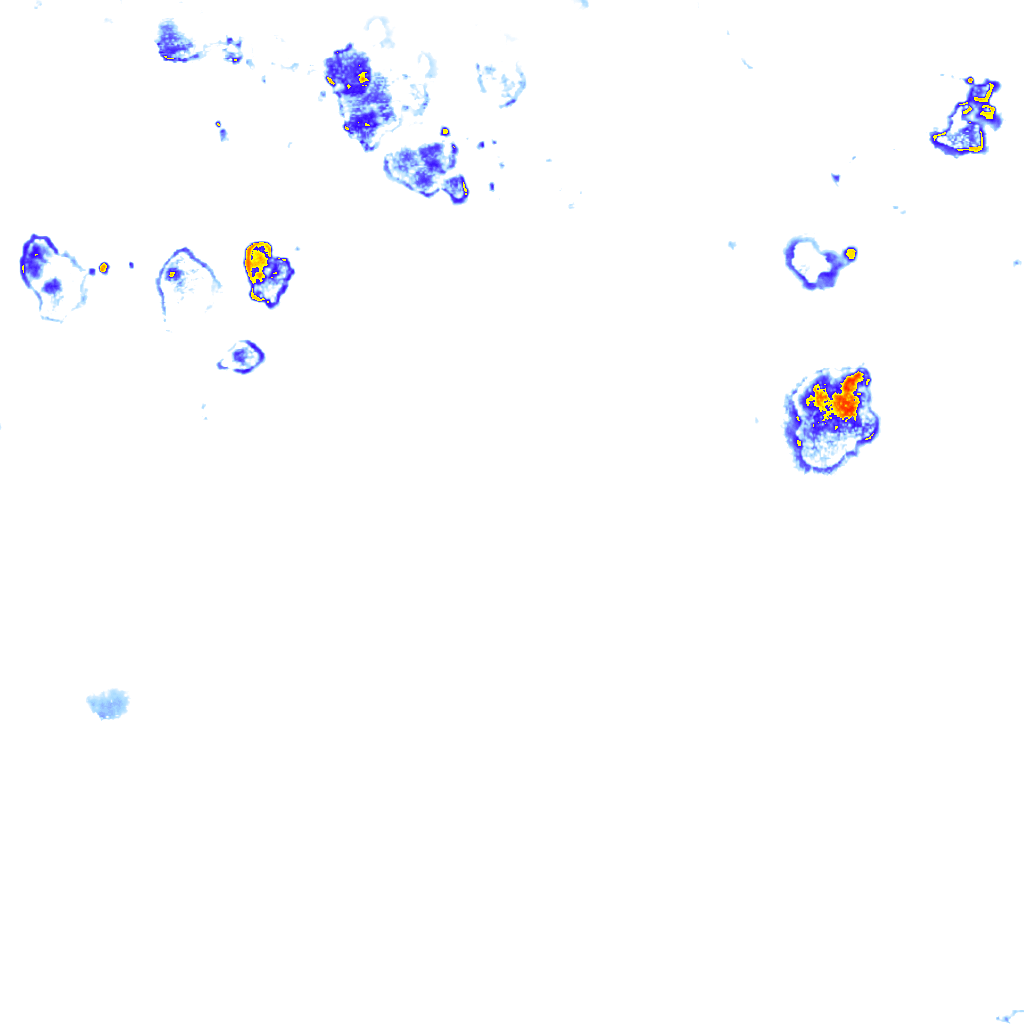 Image Layer