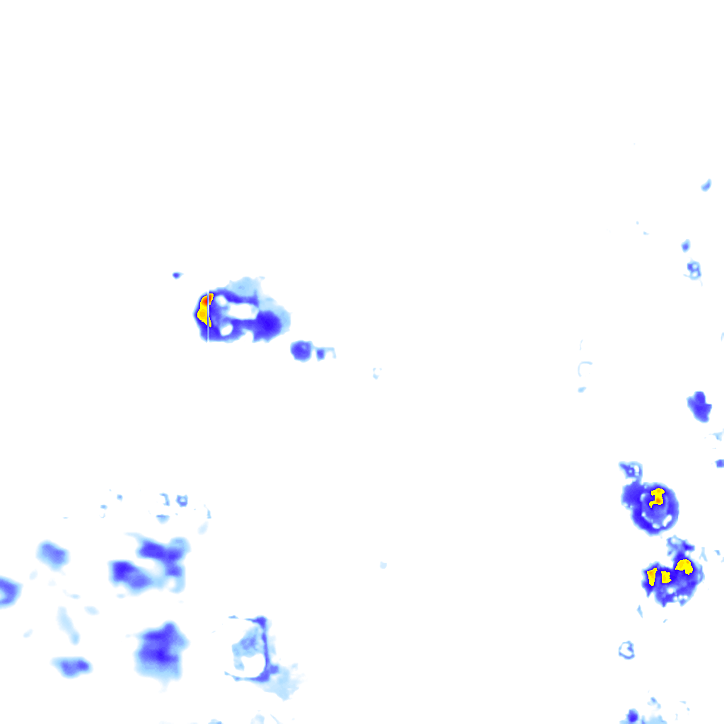 Image Layer