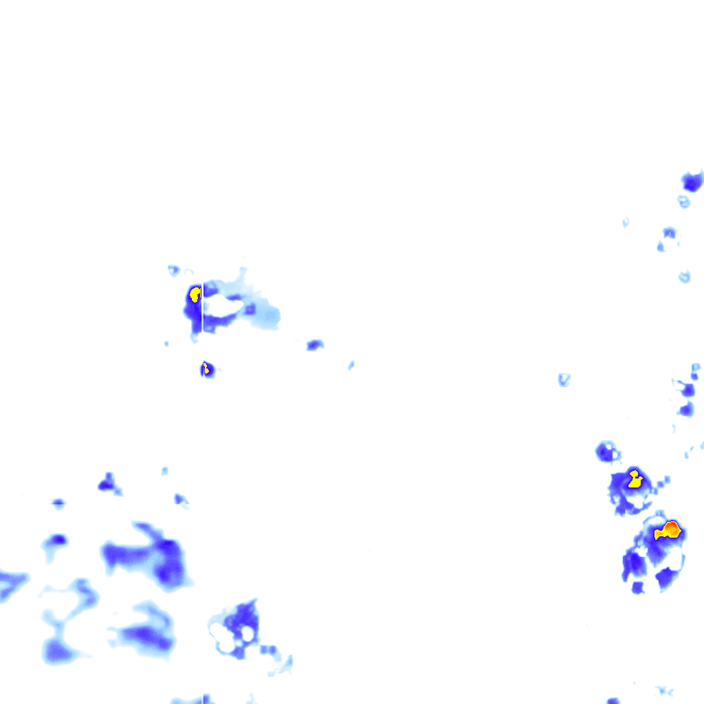 rainLayer