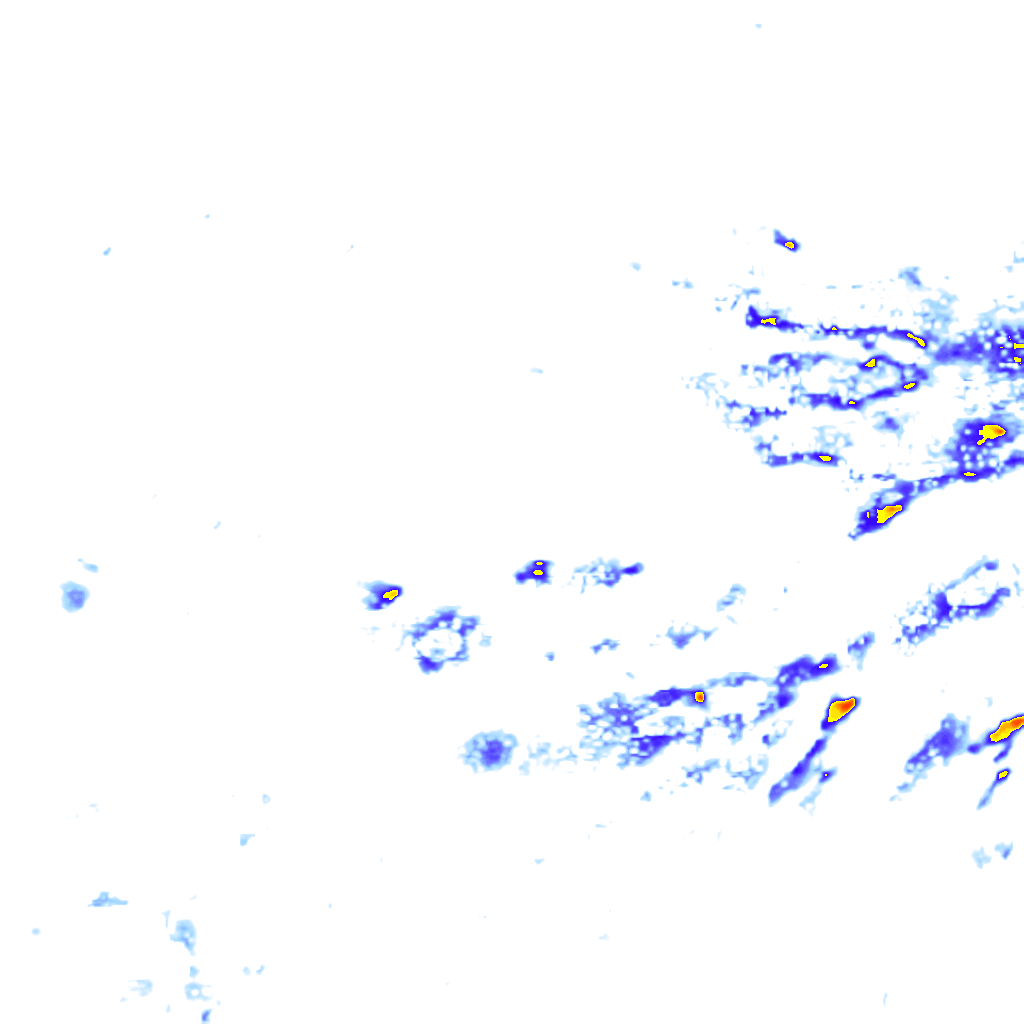 rainLayer