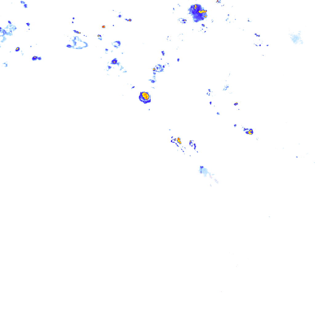 rainLayer