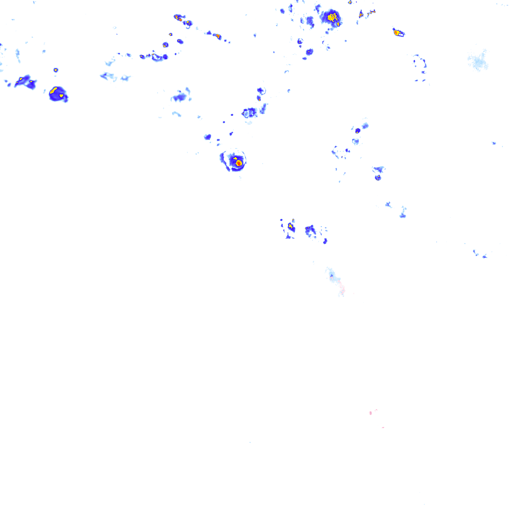 rainLayer