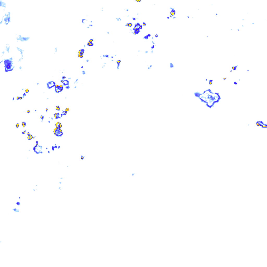 rainLayer