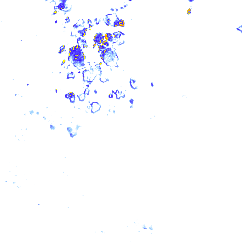 rainLayer