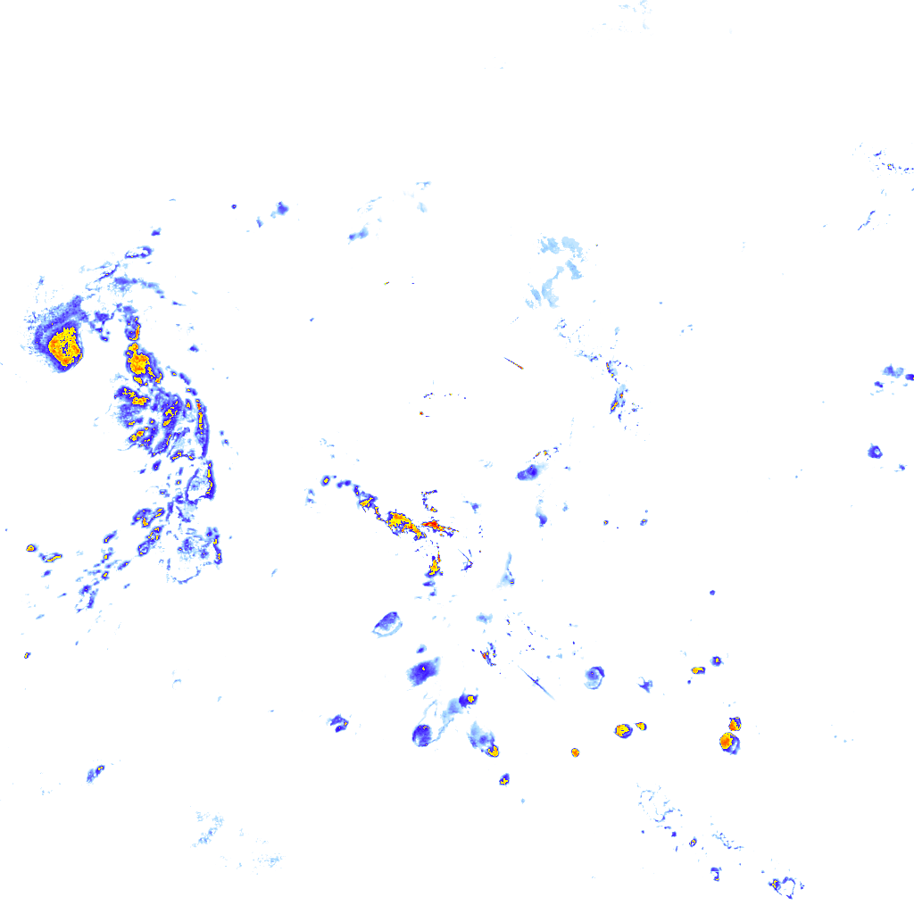 Image Layer