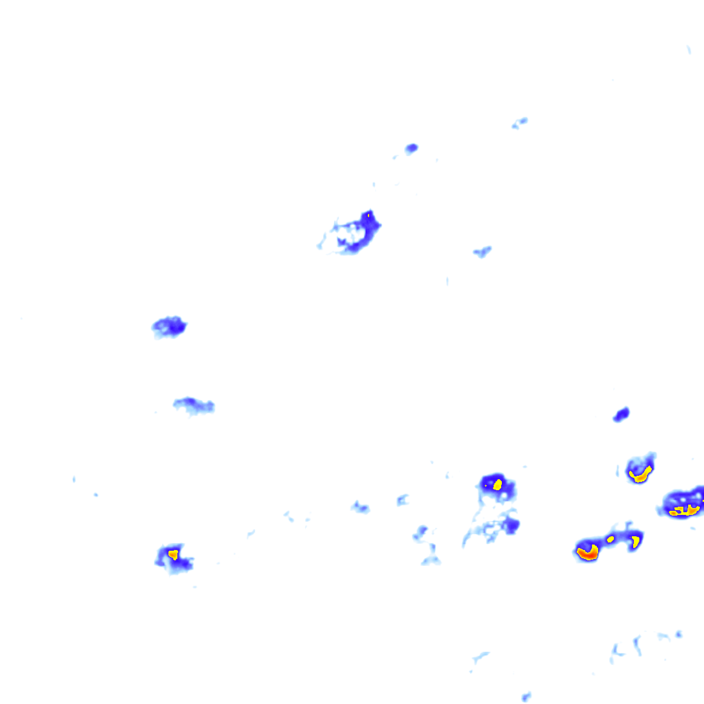 rainLayer