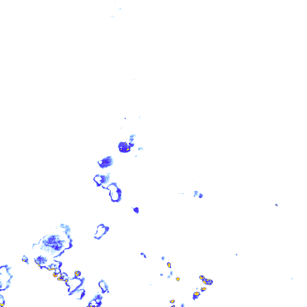rainLayer