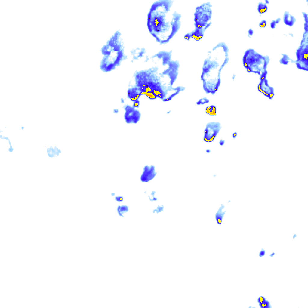 Image Layer