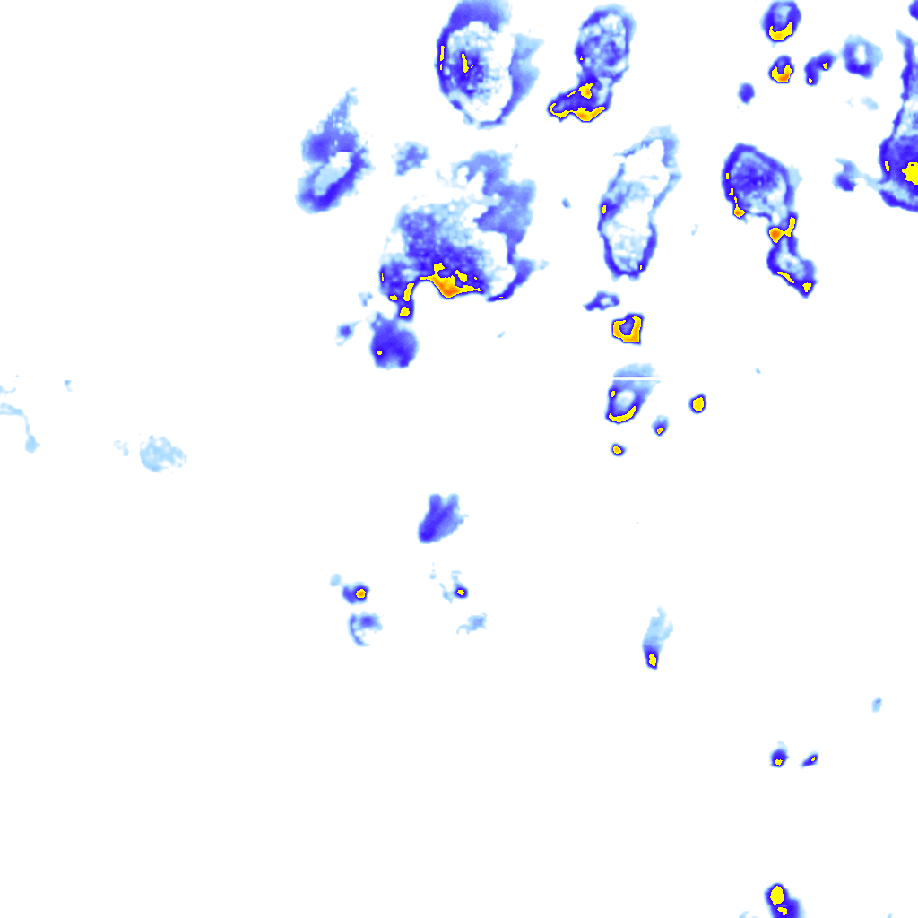 Image Layer