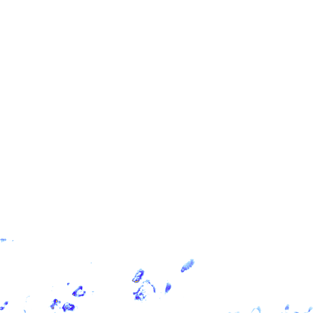 rainLayer