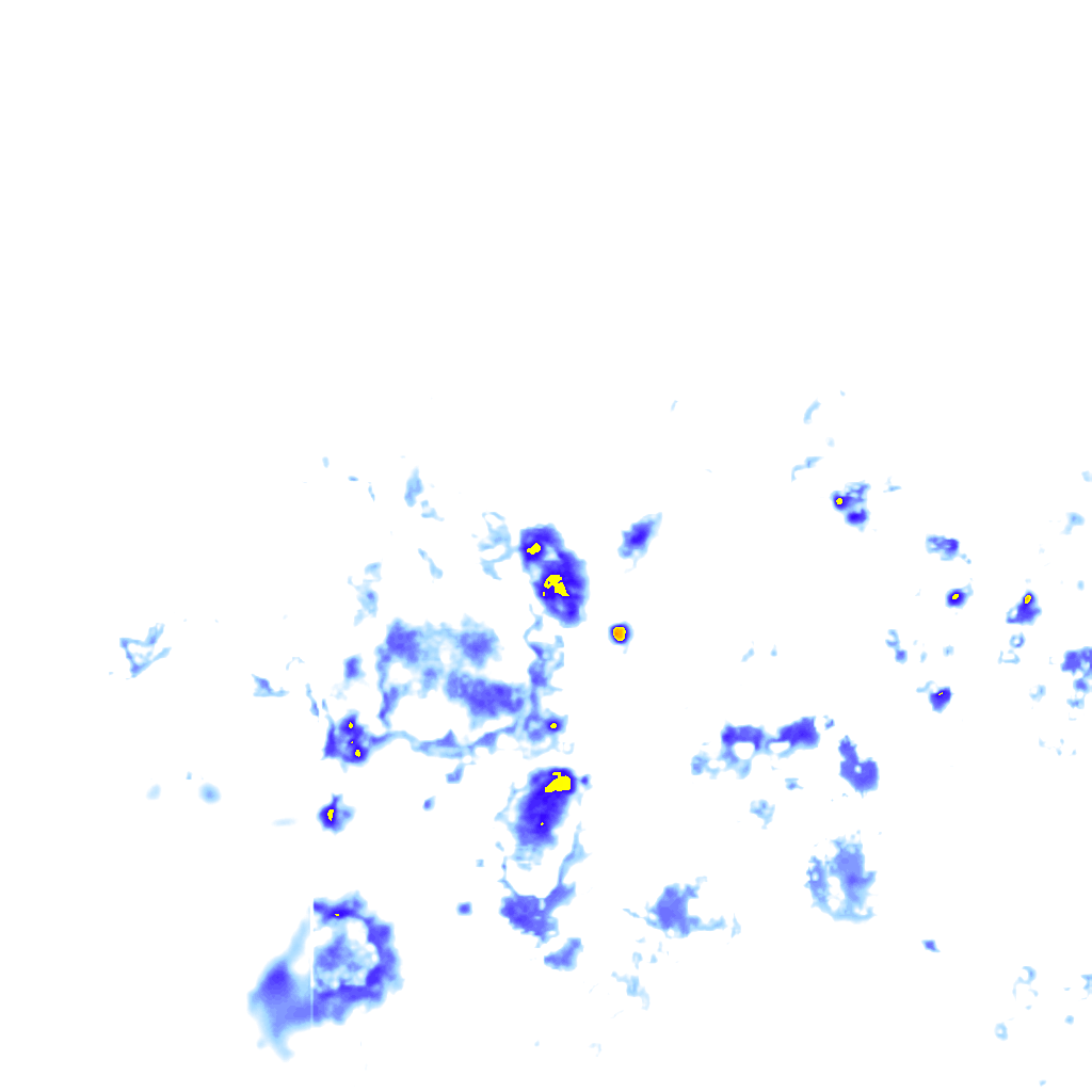 rainLayer