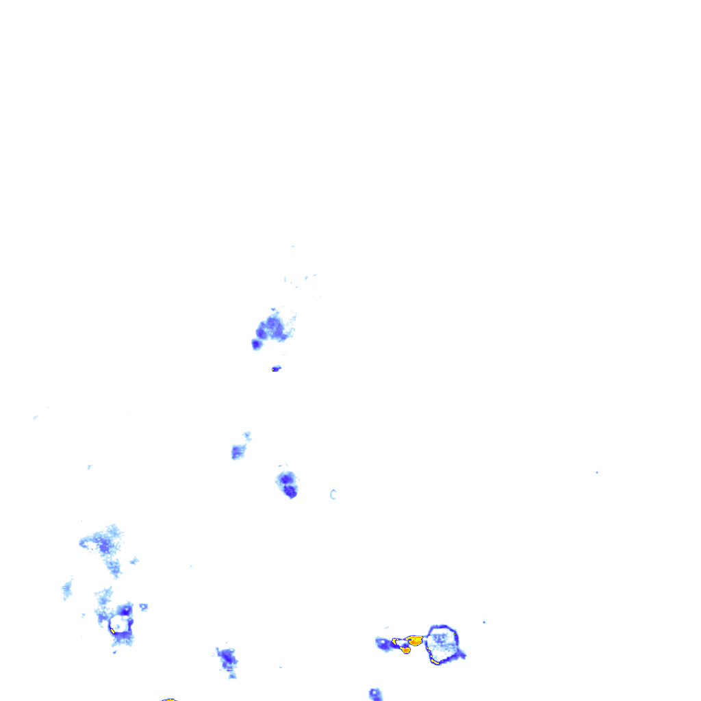 rainLayer
