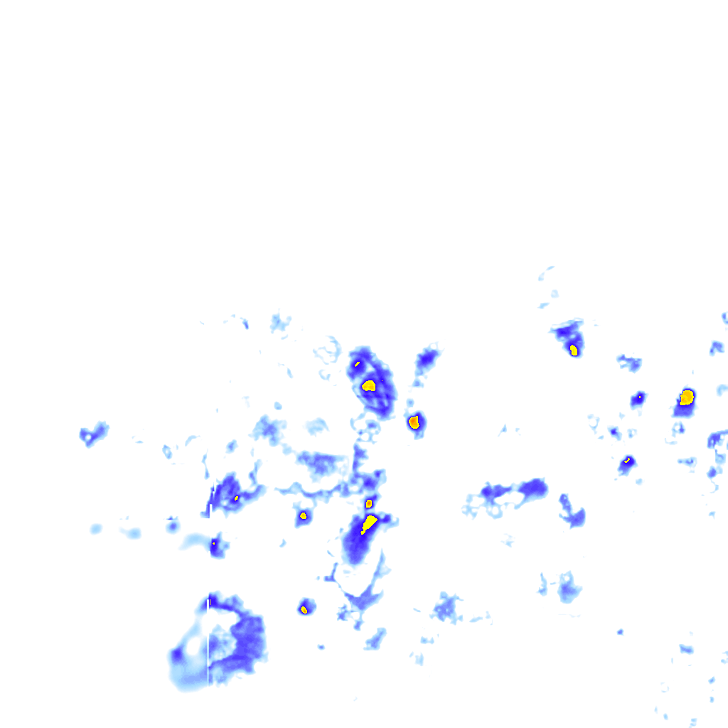Image Layer