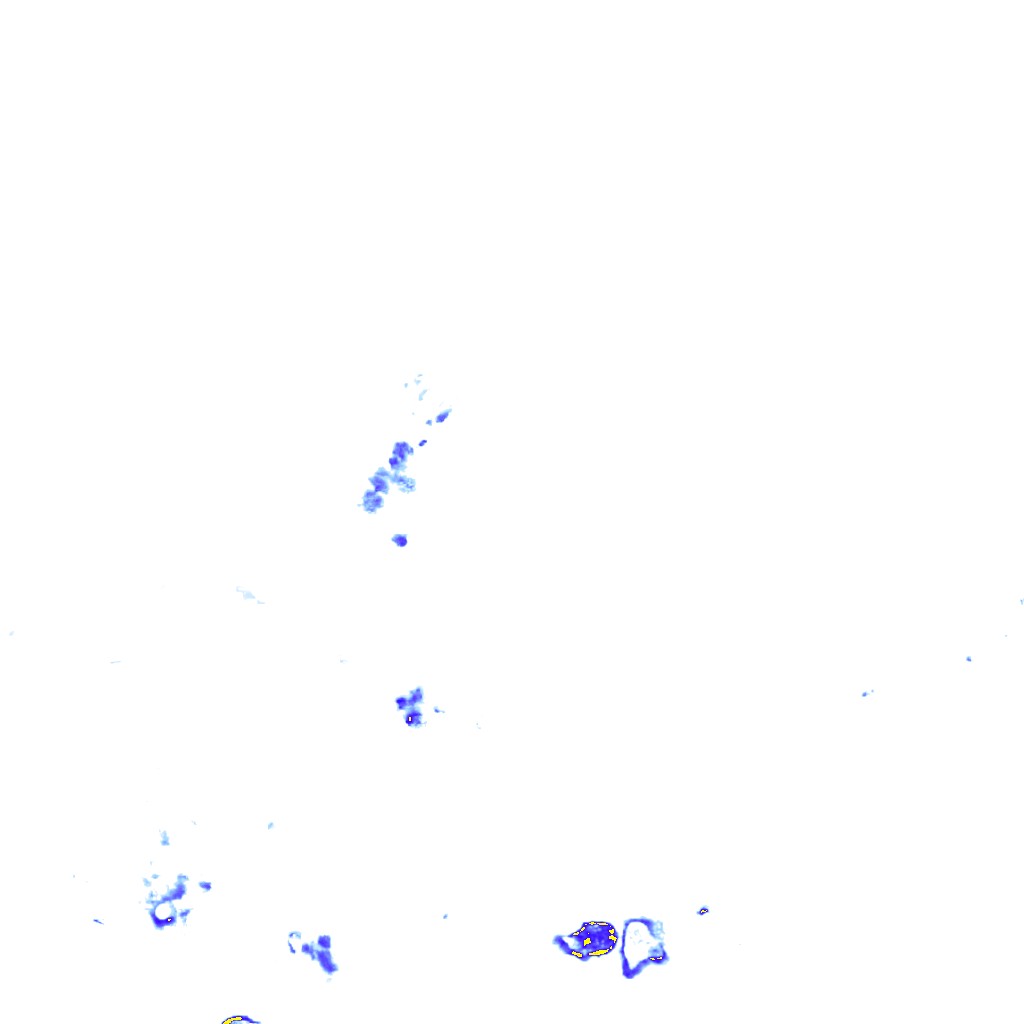 rainLayer