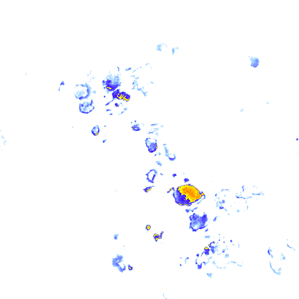 Image Layer
