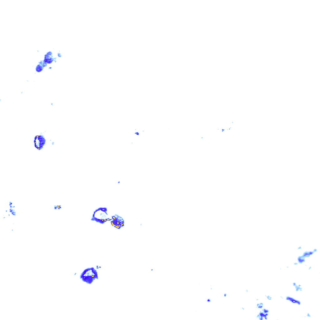 rainLayer