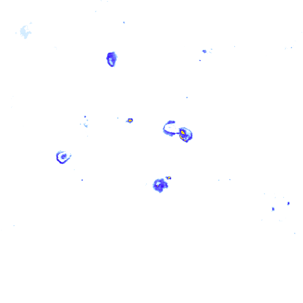 rainLayer