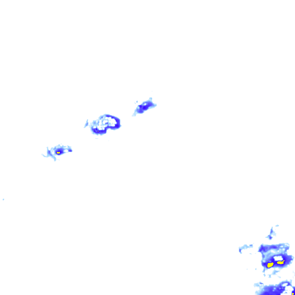 rainLayer