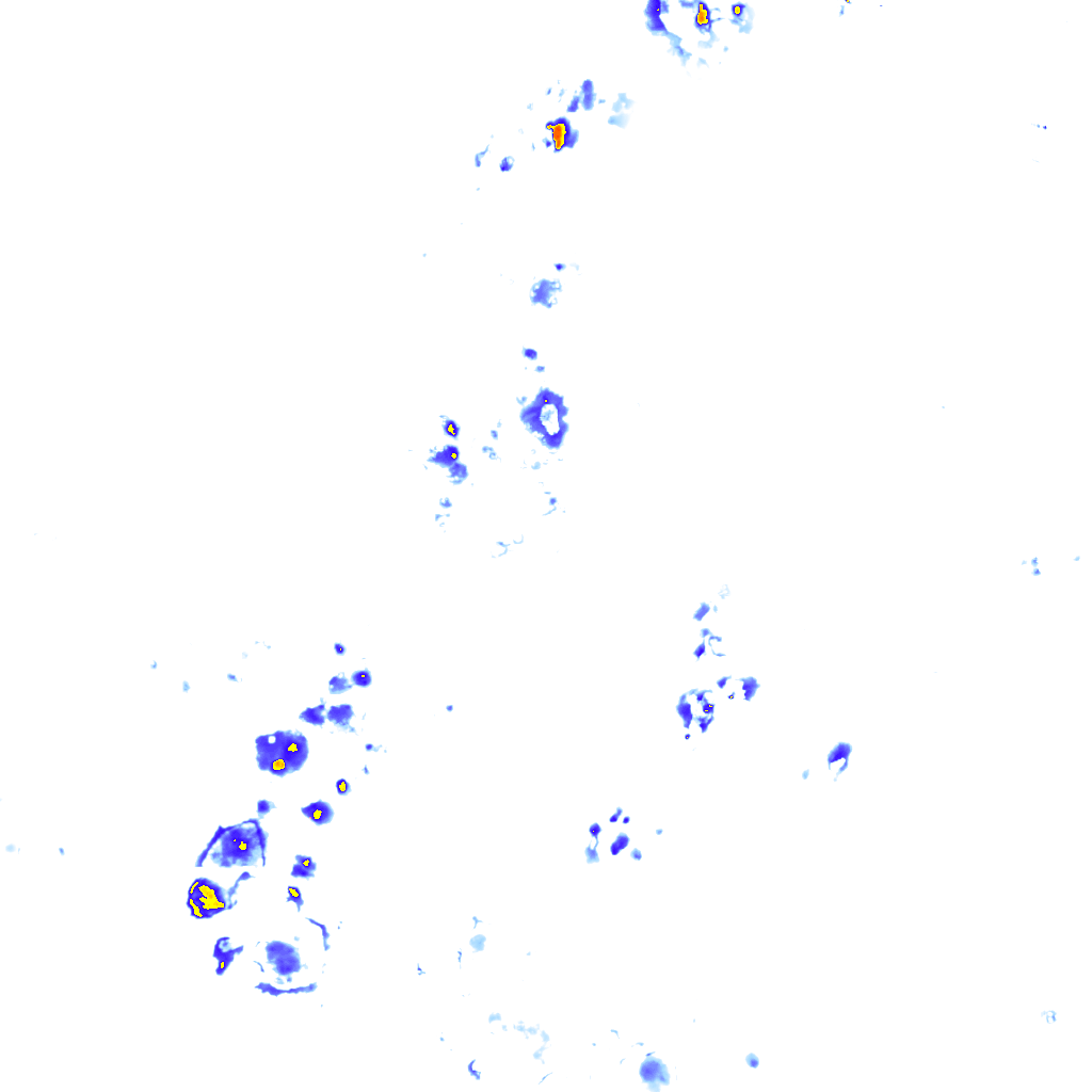 rainLayer