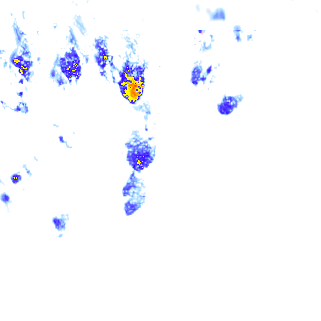 rainLayer