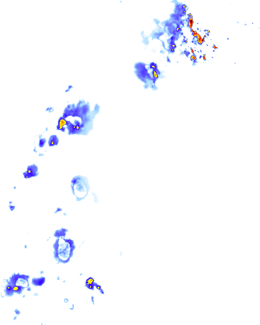 rainLayer