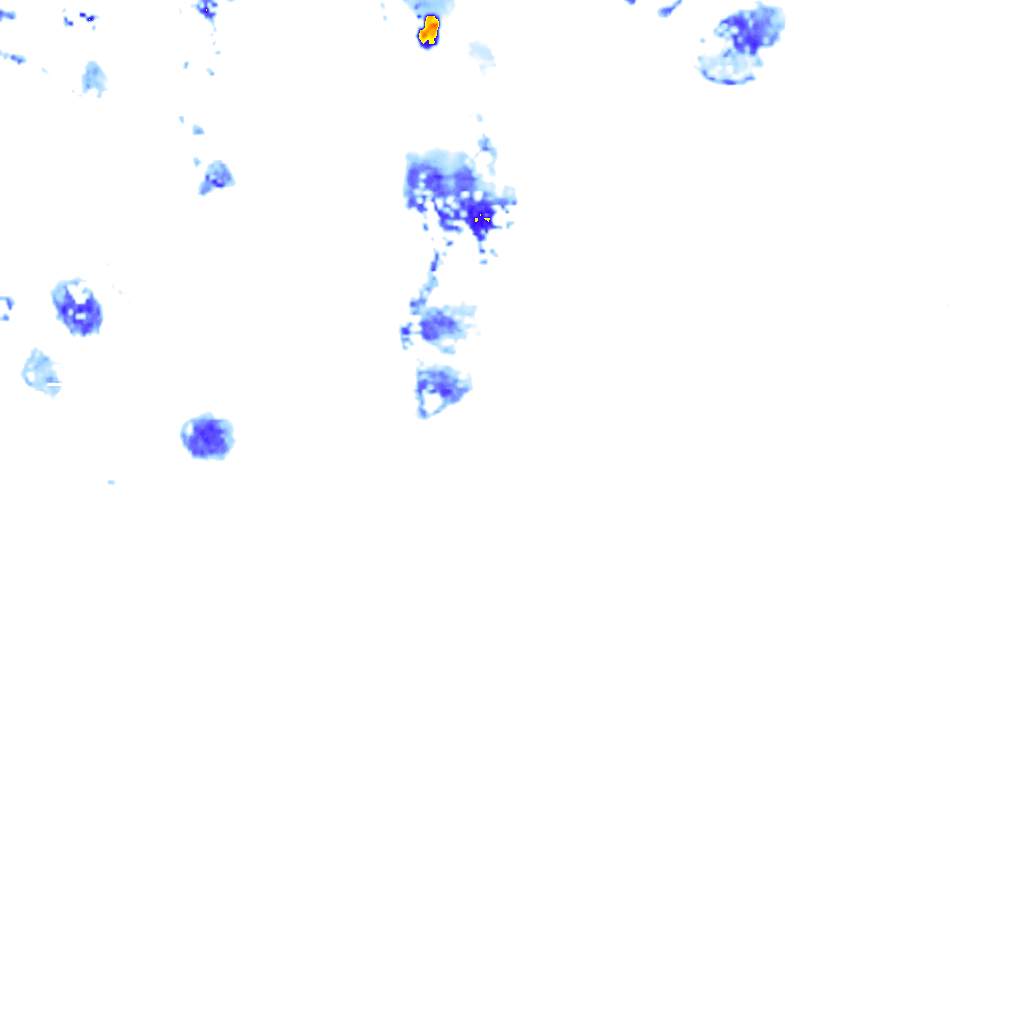 rainLayer