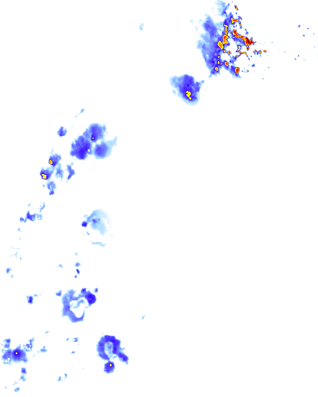rainLayer