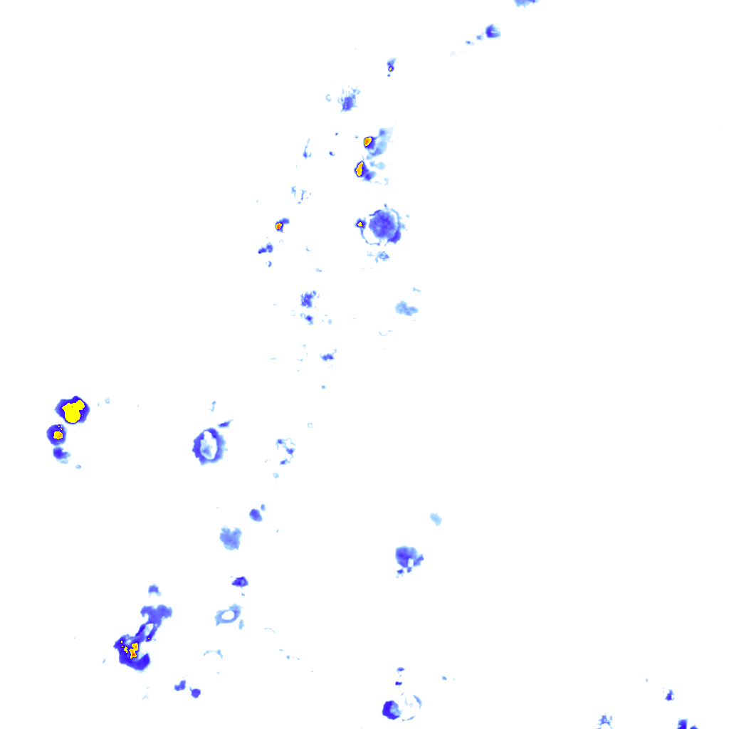 rainLayer