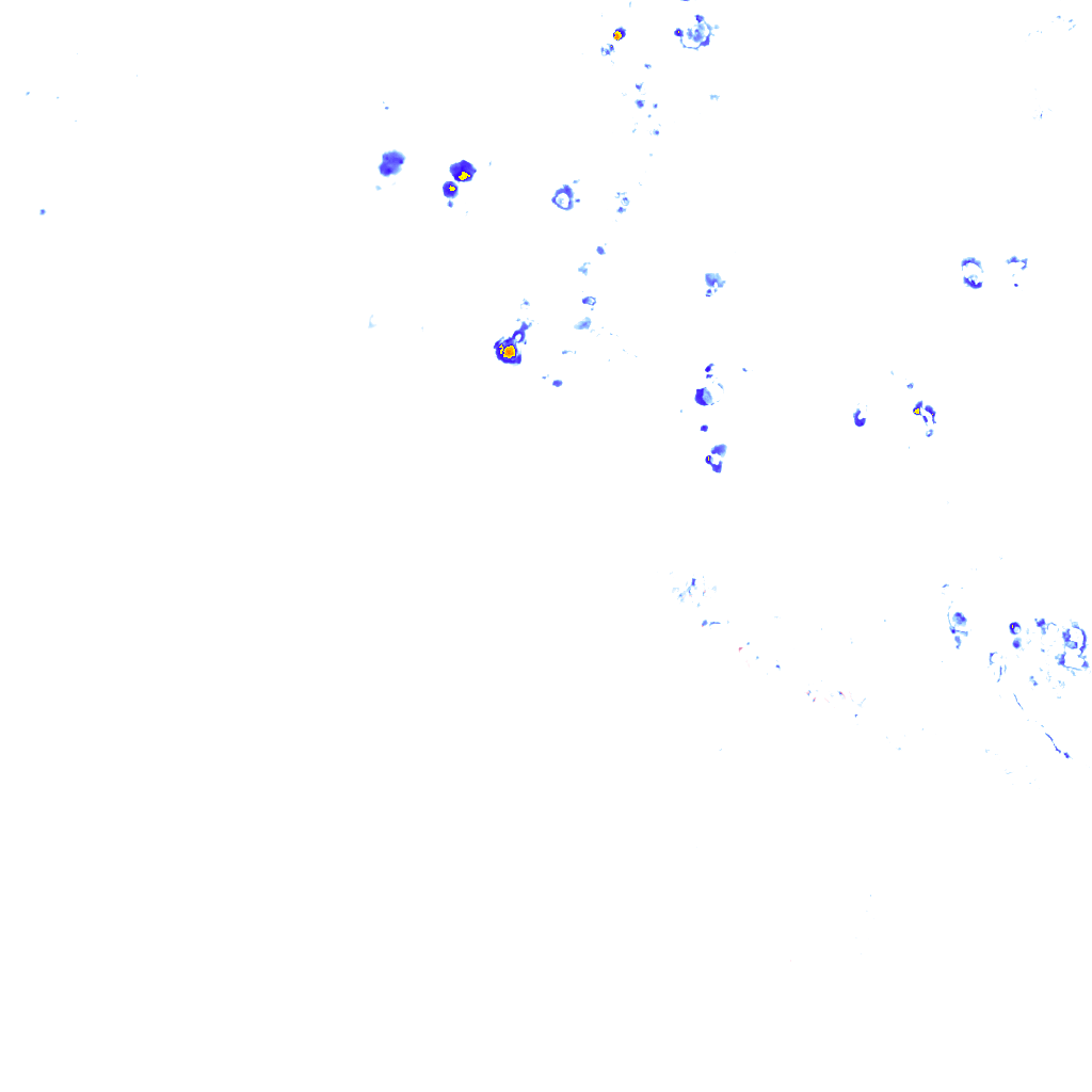 rainLayer