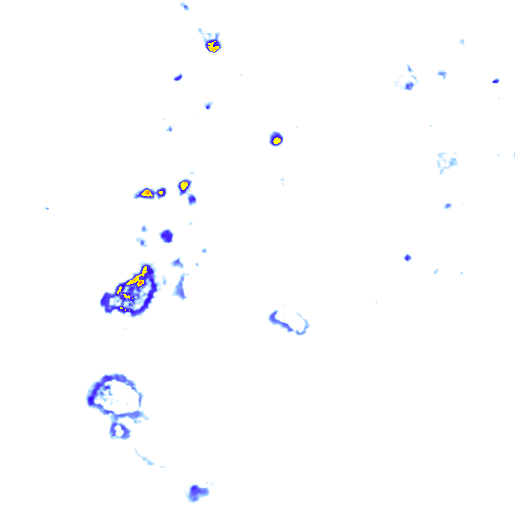 rainLayer