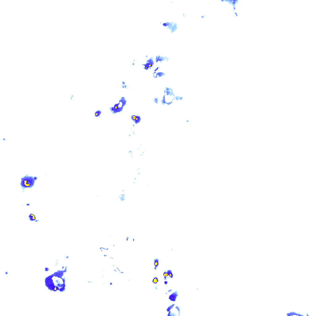 rainLayer