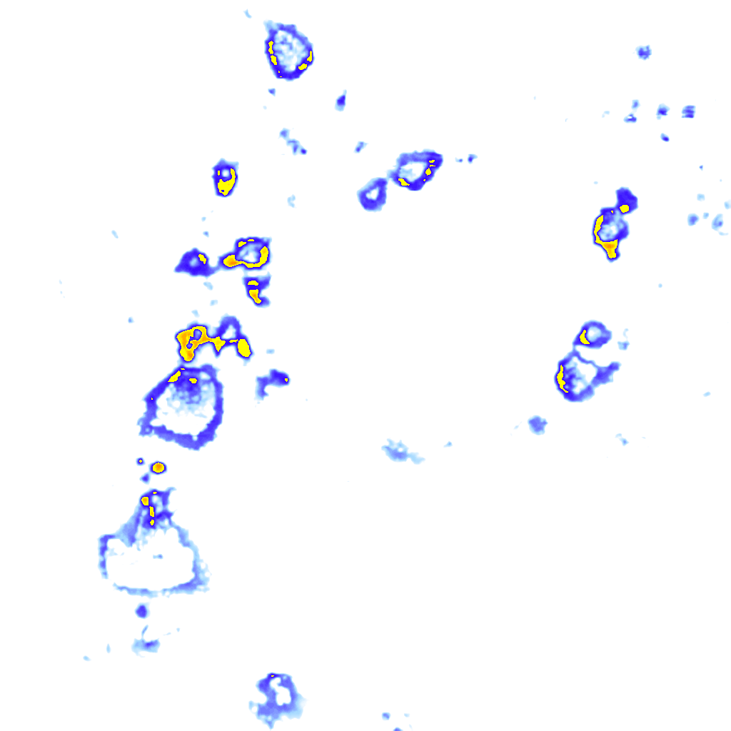 rainLayer