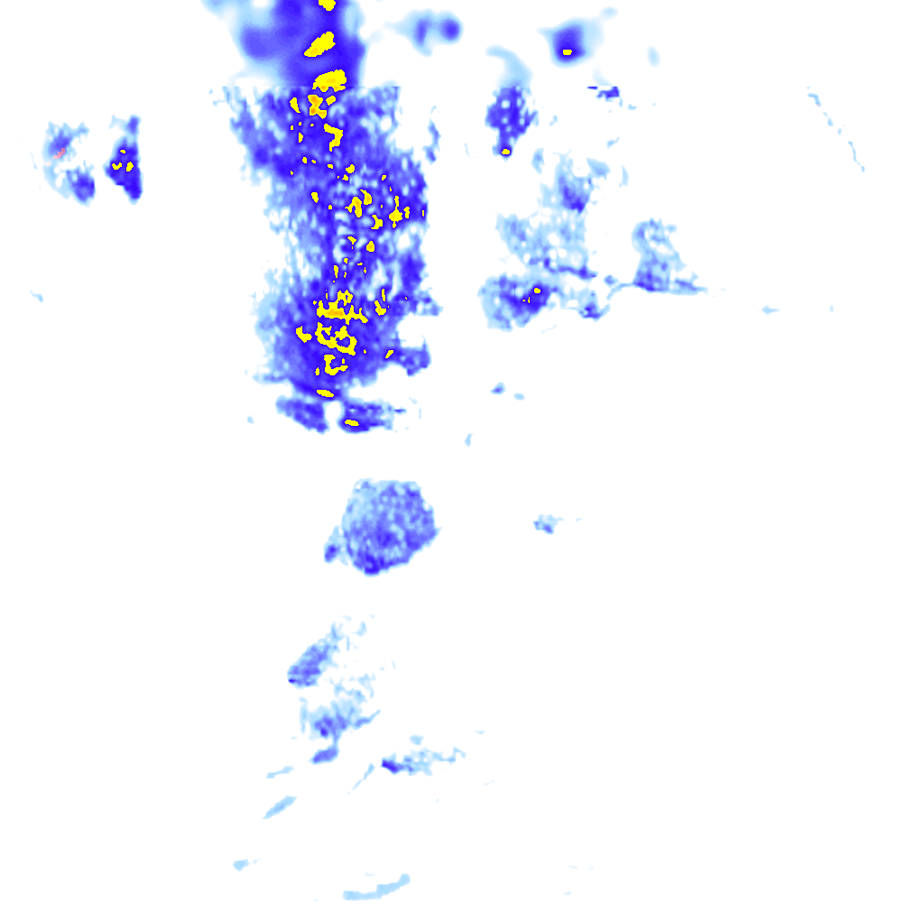 Image Layer