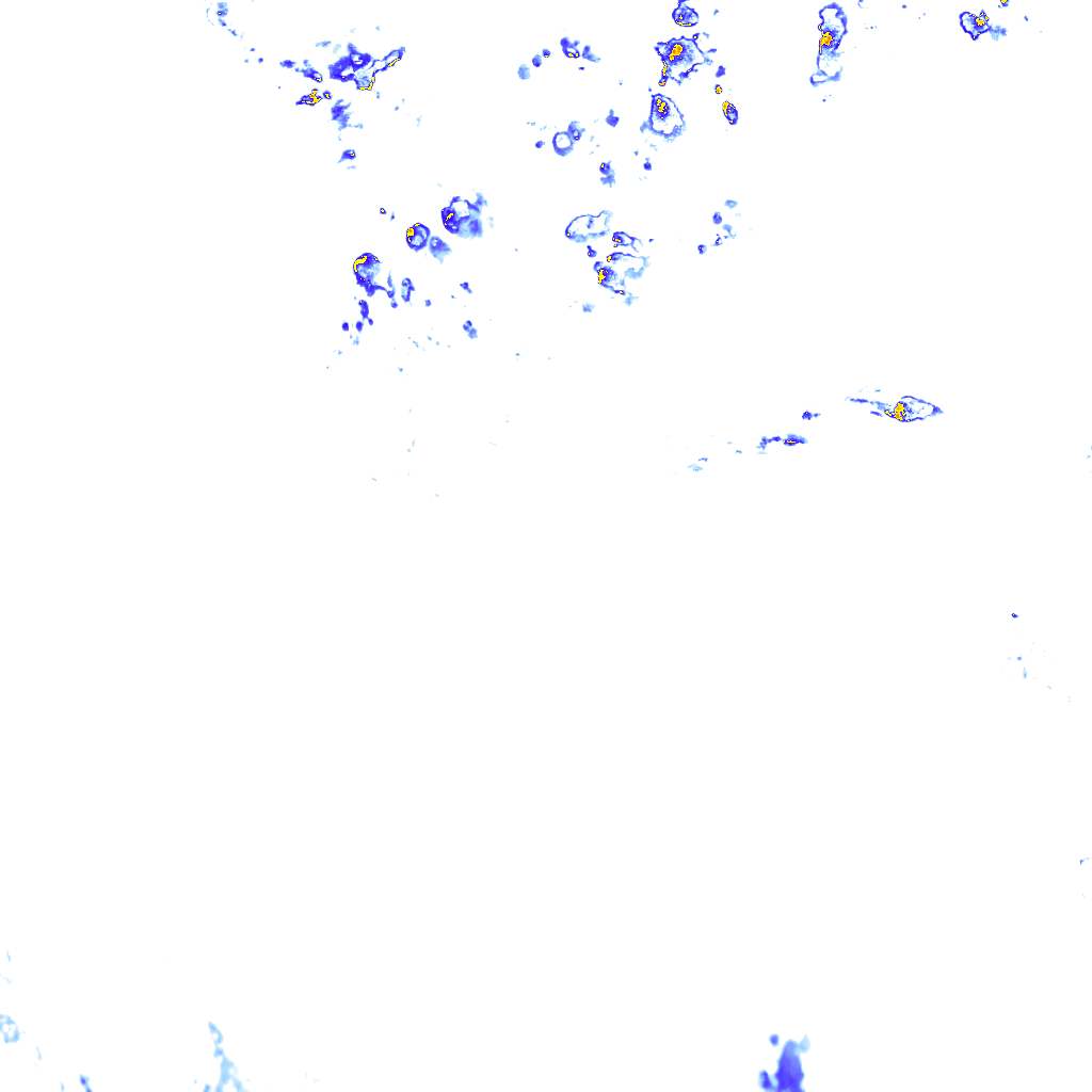 rainLayer