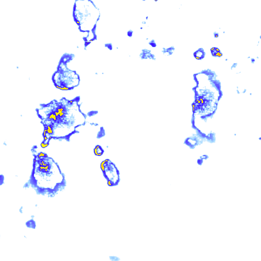 rainLayer