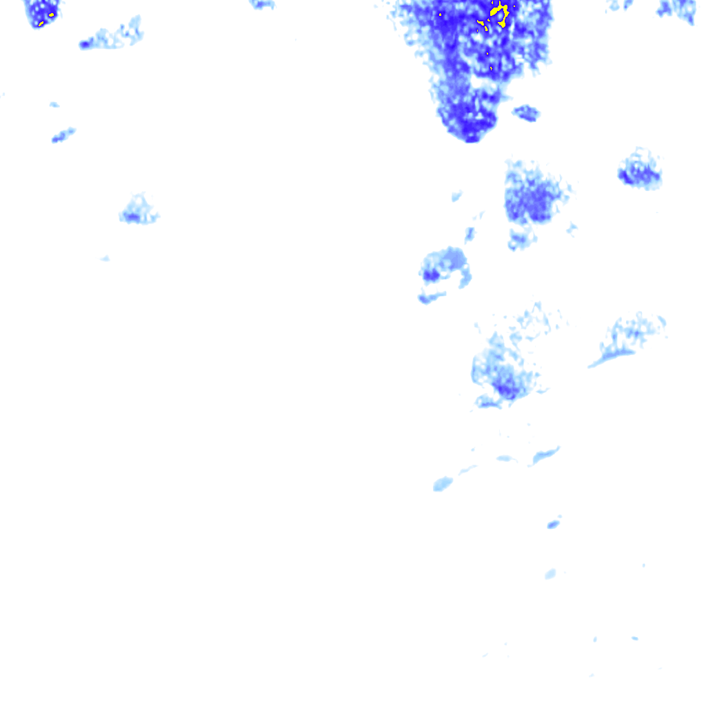 rainLayer