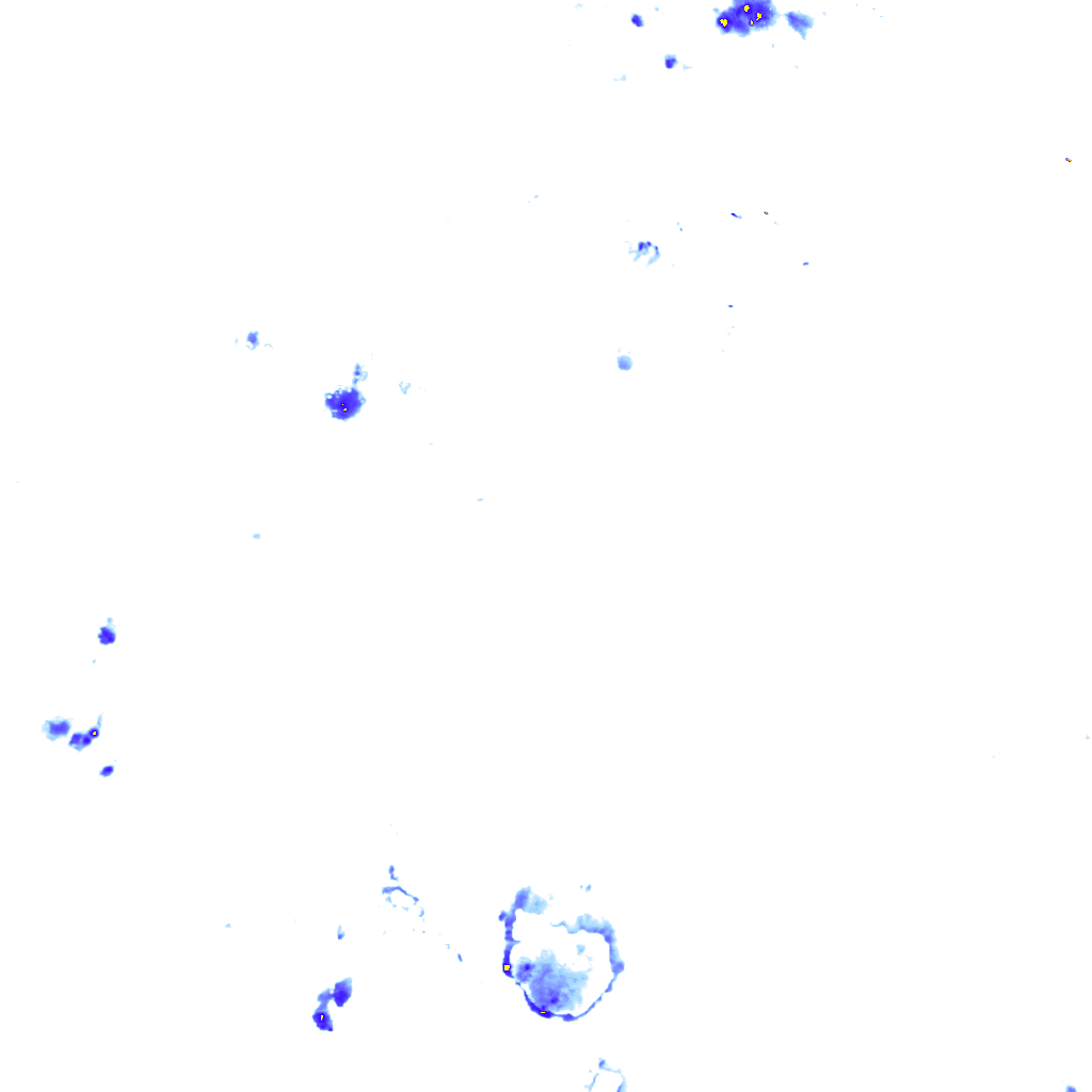 rainLayer