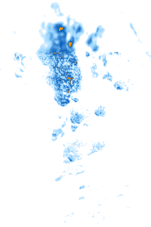rain layer