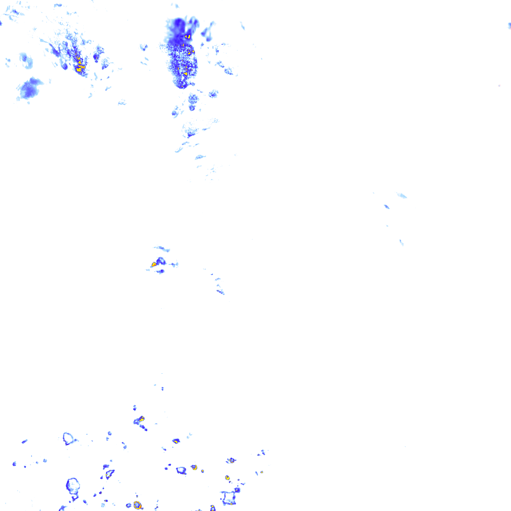 rainLayer