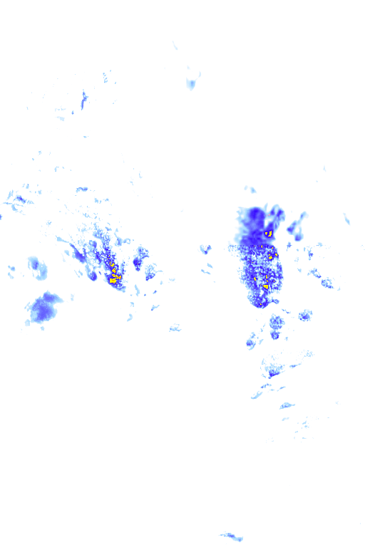 rainLayer