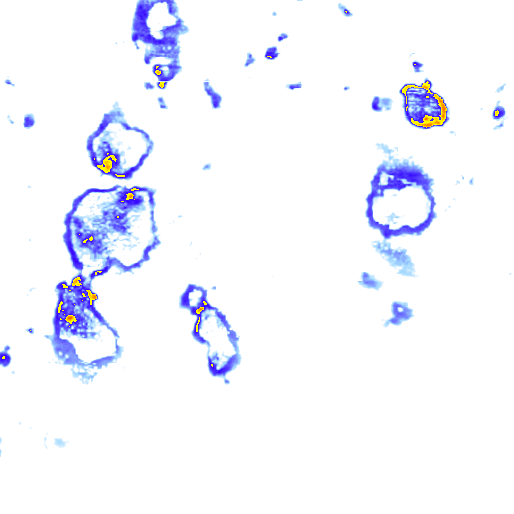 rainLayer