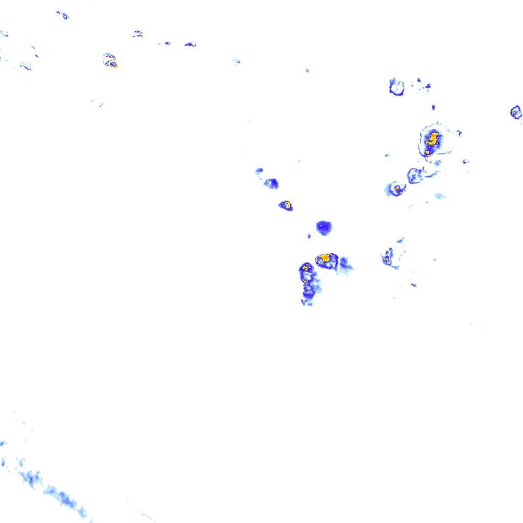 rainLayer