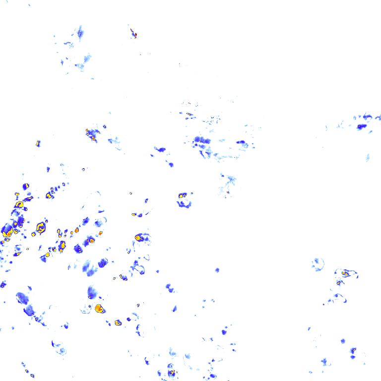 rainLayer