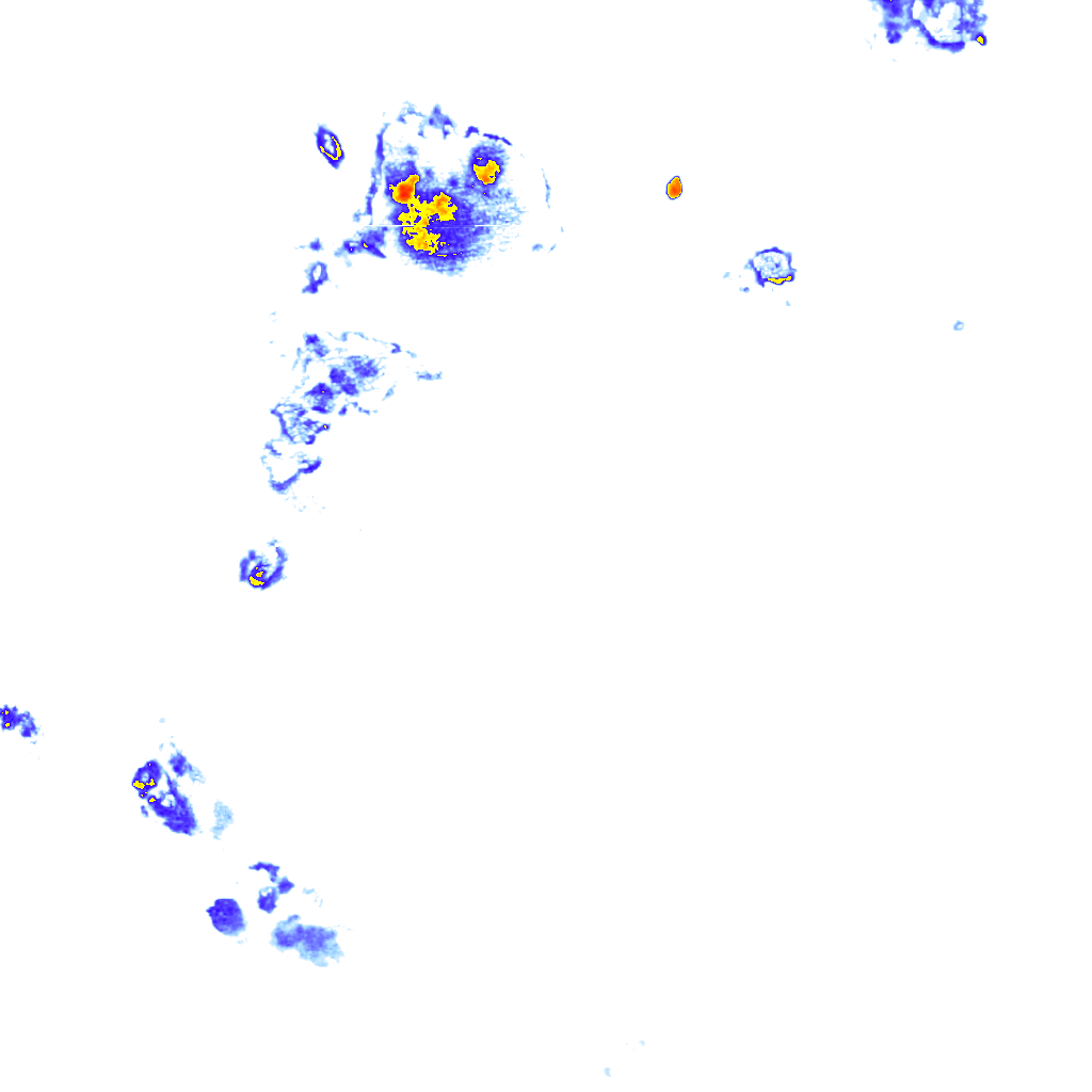Image Layer