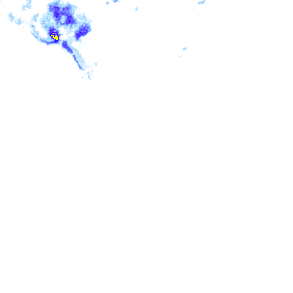 rainLayer