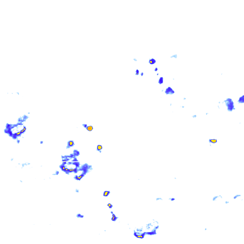 rainLayer