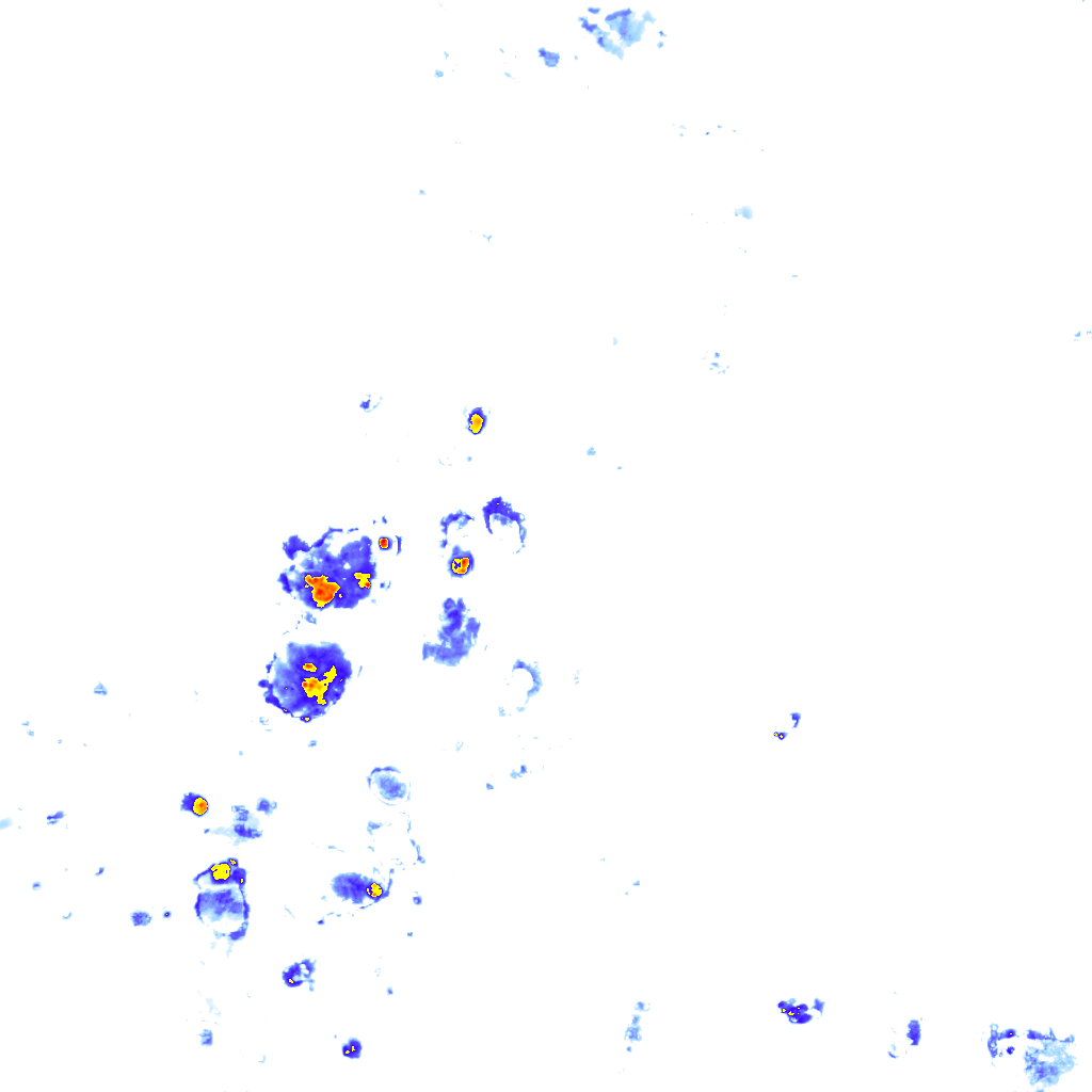 Image Layer