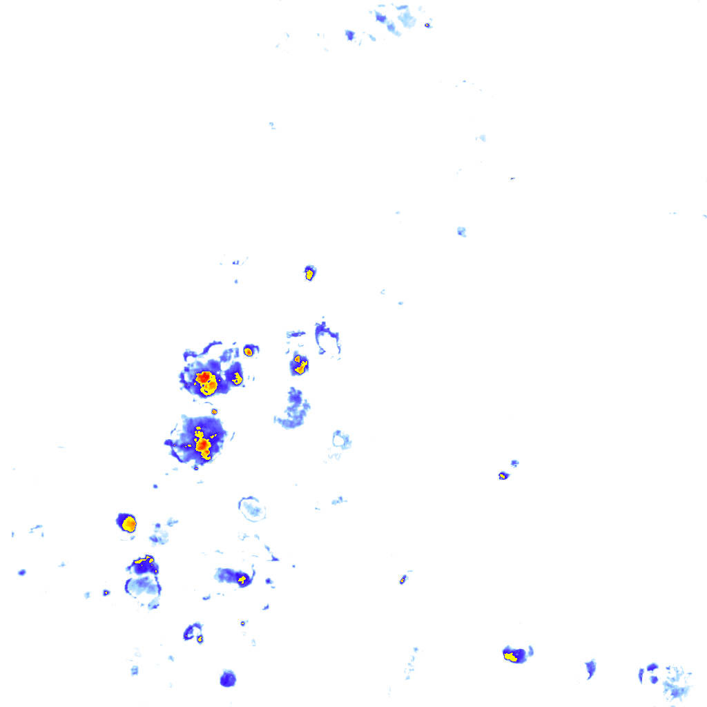 rainLayer