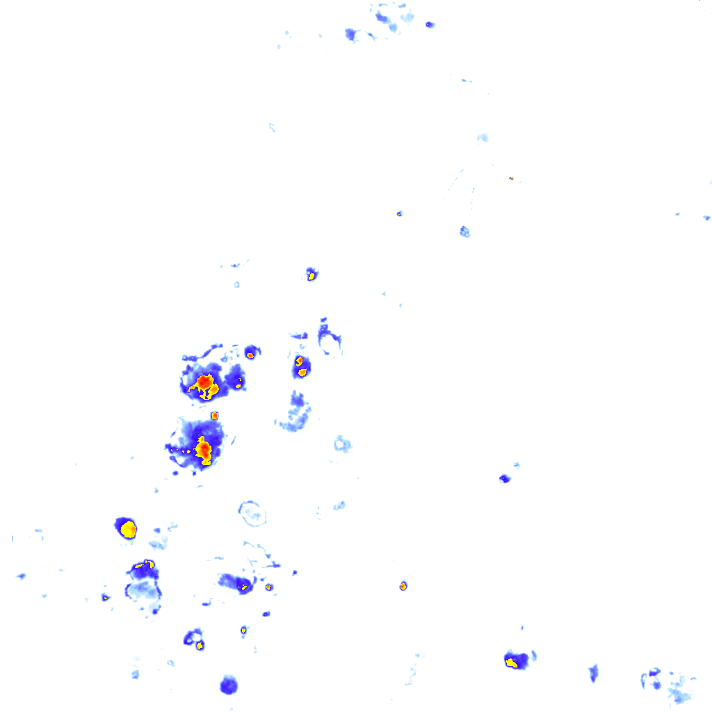 rainLayer